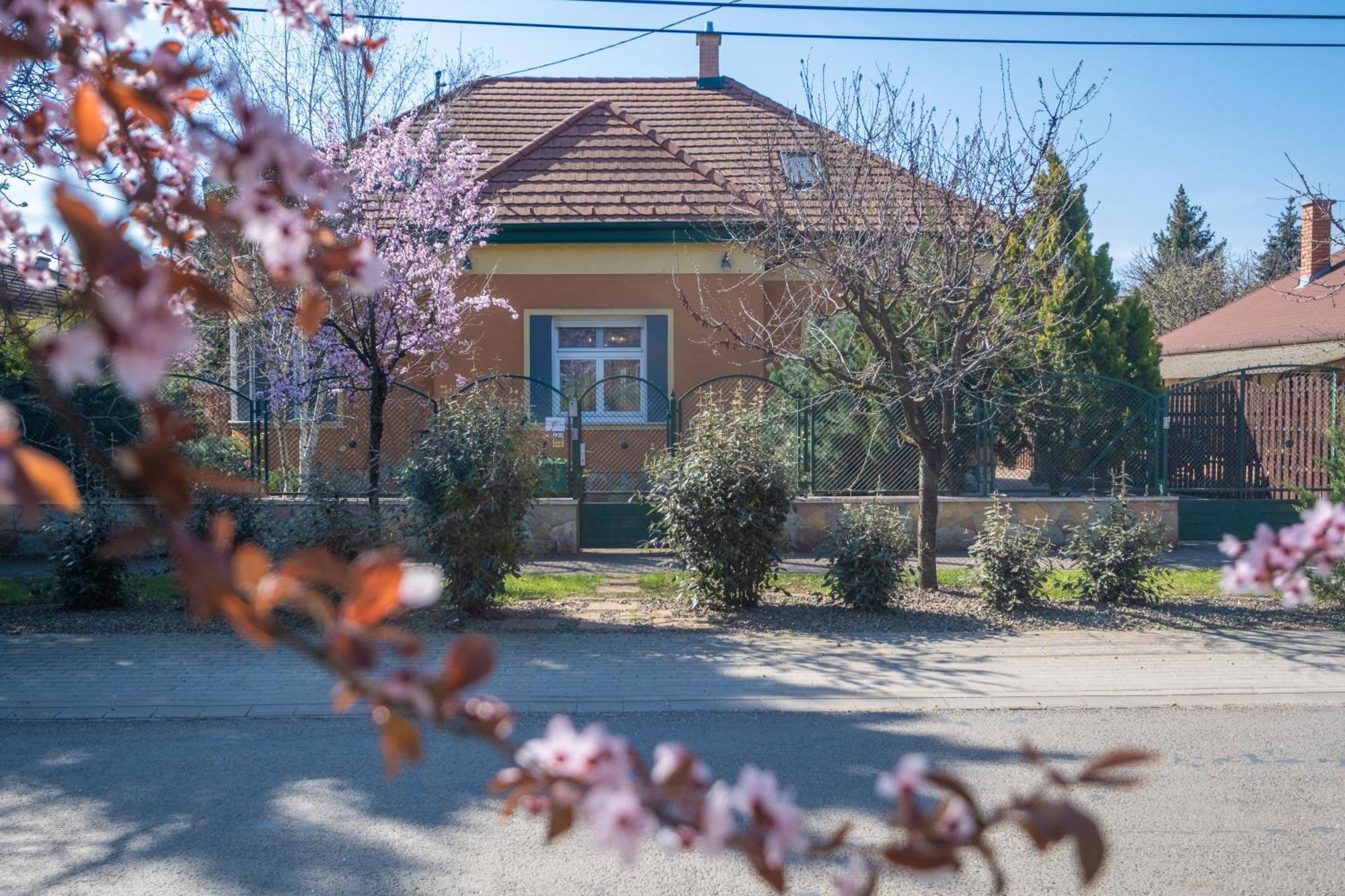 Giovanni'S Airport House Budapeszt Zewnętrze zdjęcie