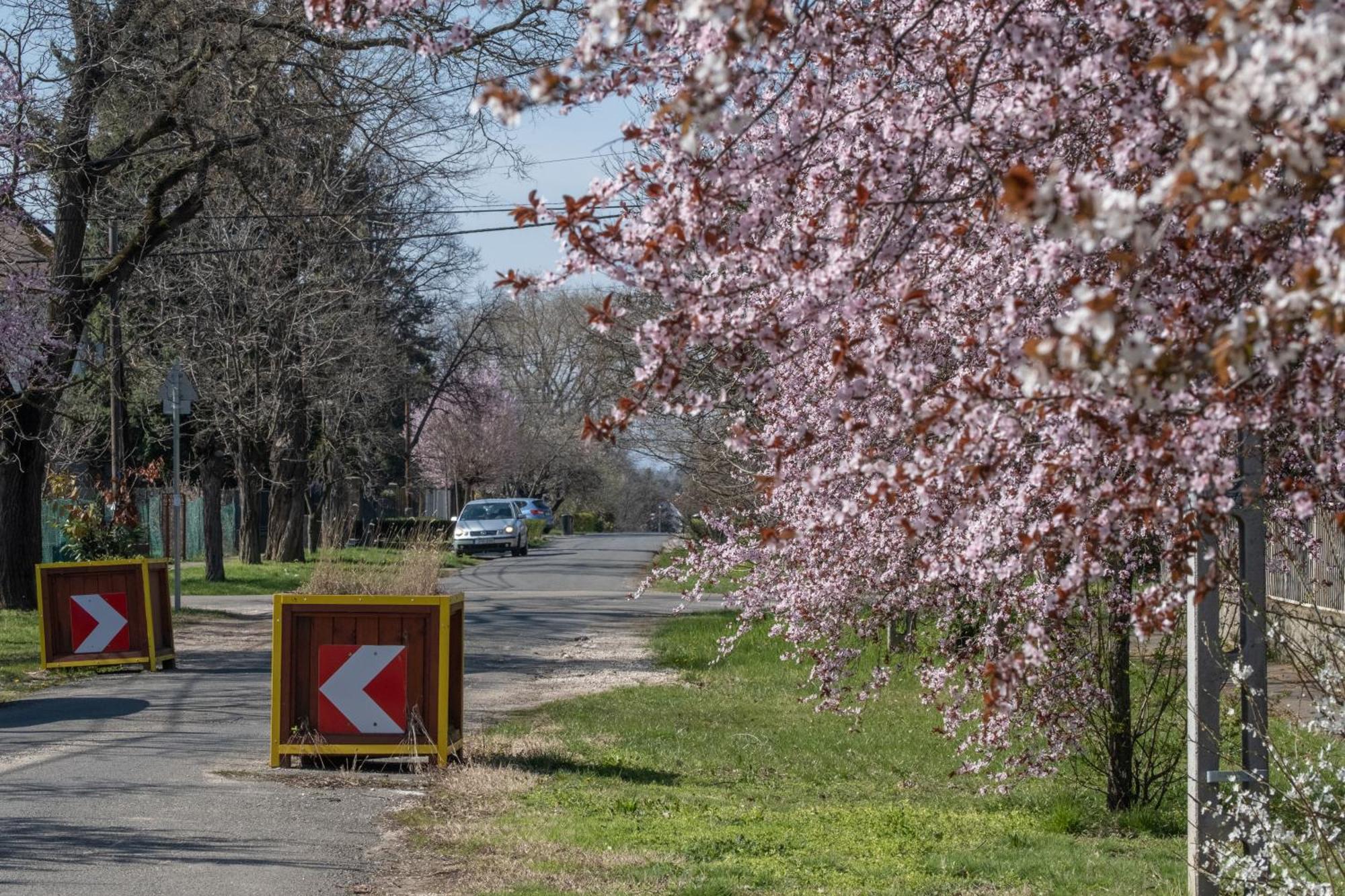 Giovanni'S Airport House Budapeszt Zewnętrze zdjęcie